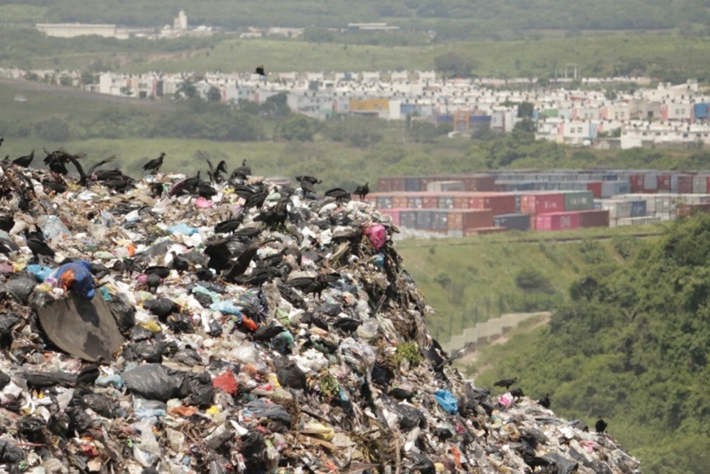 Imagen Suman 100 empresas multadas por basurero de Veracruz; han pagado 60 mdp