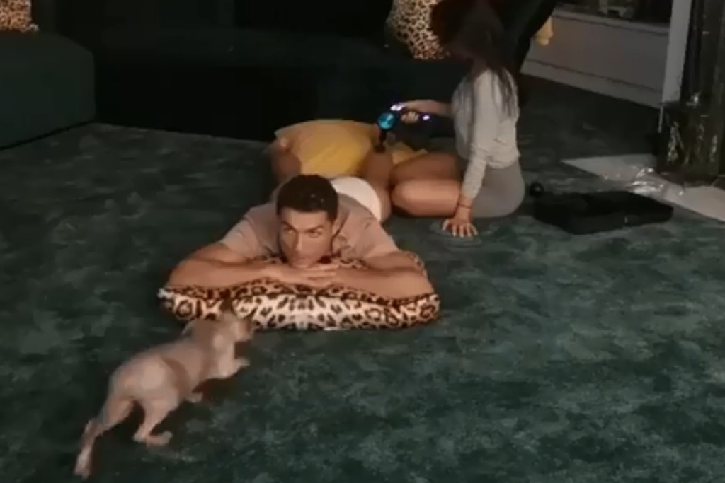 Imagen Gato de Cristiano Ronaldo es trasladado en jet privado a España tras ser atropellado