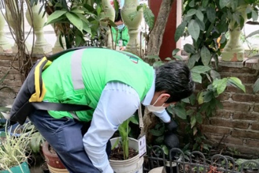 Imagen Para evitar proliferación del dengue, eliminan 10 toneladas de cacharros en Poza Rica