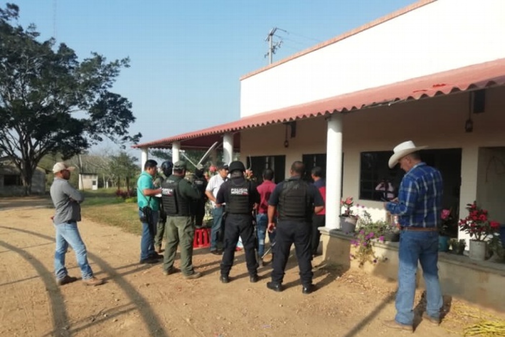 Imagen Recuperan 14 cabezas de ganado de casi 200 robadas en Sayula de Alemán, Veracruz 