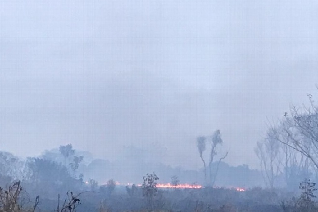 Imagen Incendio de pastizal en Nuevo Veracruz deja ceniza en diversas zonas  