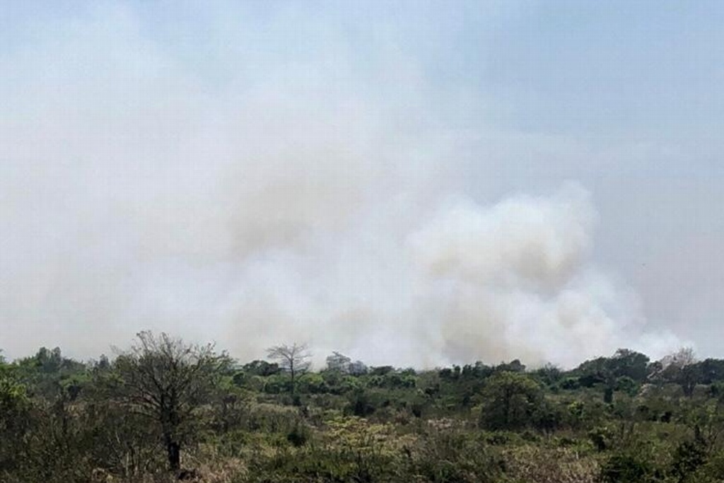 Imagen Continúa incendio de pastizal  en zona del Nuevo Veracruz