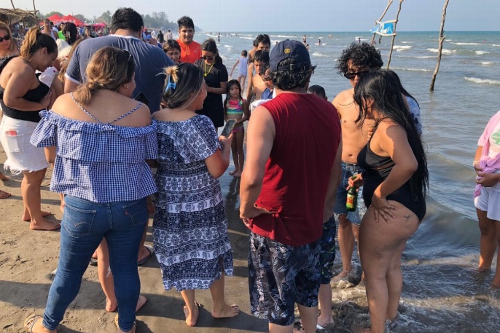 Imagen Sorprende a bañistas extraña especie del mar en Veracruz (Fotos)
