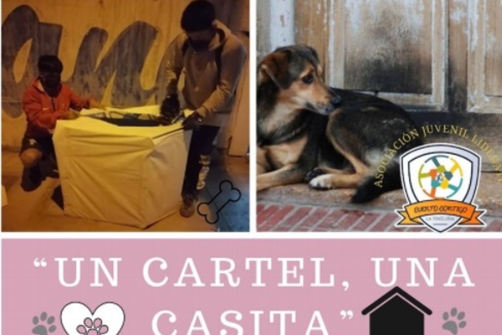Imagen Convierten propaganda electoral en casas para perritos abandonados
