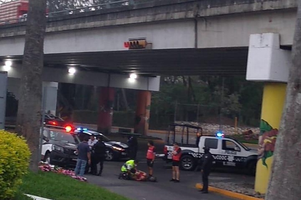 Imagen Joven se lanza de un puente en Córdoba, dijo estar embarazada 