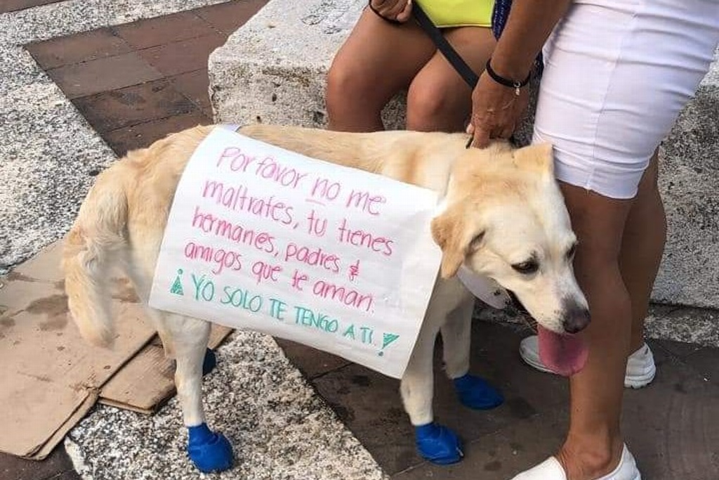 Imagen Así exigieron justicia en Veracruz por 