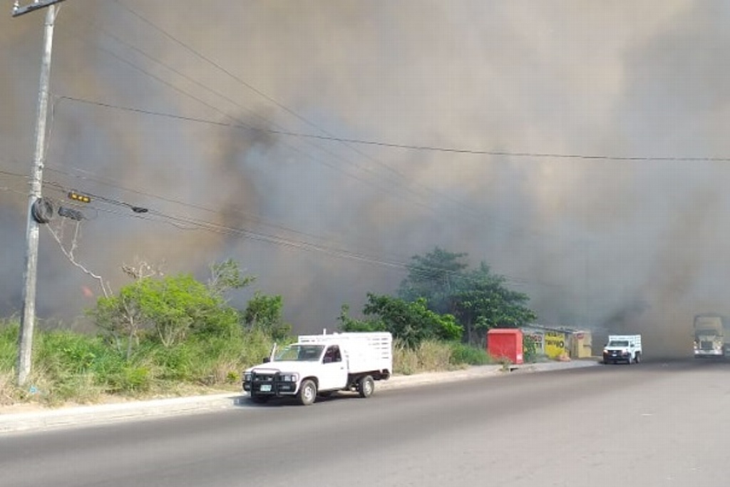 Imagen En Veracruz se registran 3 incendios de pastizales diarios; PC pide no tirar basura