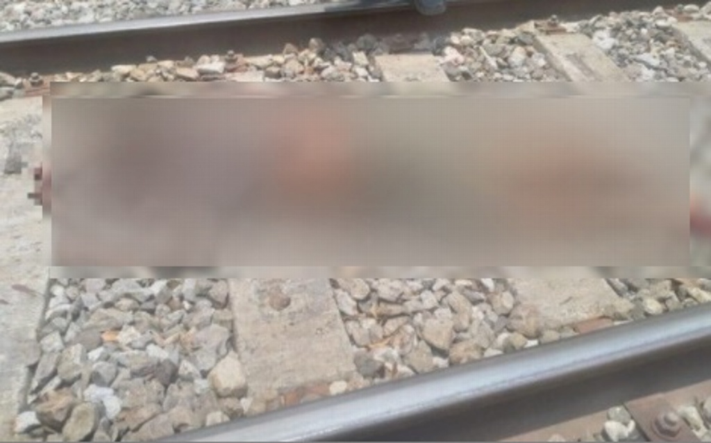 Imagen Muere migrante al caer del tren en Veracruz