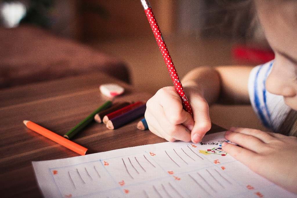 Imagen El modelo educativo en México es copia de otros países, afirma maestra