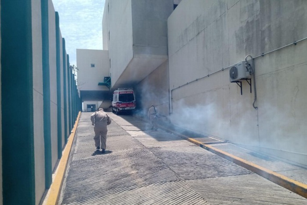 Fumigan Hospital Del IMSS En Veracruz Ante Denuncia De Infestación De ...