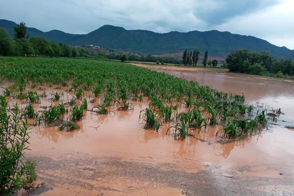 Imagen Reportan dos muertos por lluvias en Oaxaca