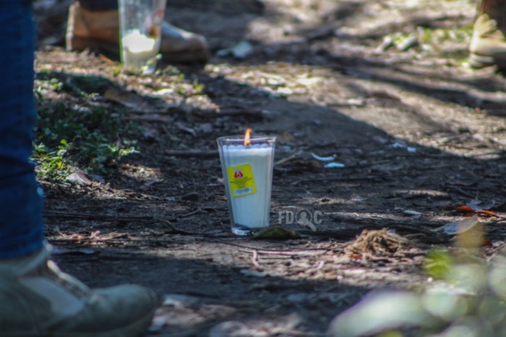 Imagen Suben a 14 los cadáveres exhumados de la fosa de Campo Grande, Ixtaczoquitlán