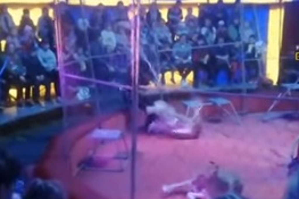 Imagen Domador de leones brutalmente atacado en espectáculo de circo (+Video)