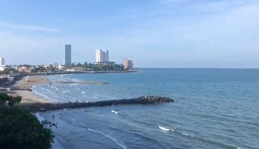 Imagen Oceanólogo detalla la especie marina que apareció en Boca del Río (+Video)