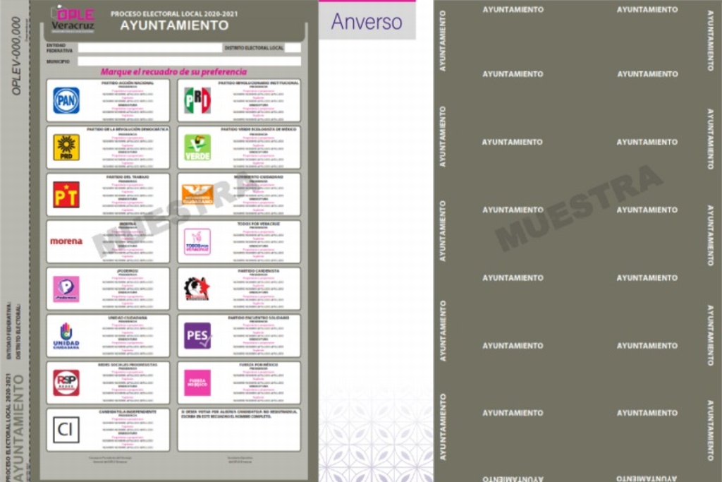Imagen Faltaron más de 100 boletas electorales en el OPLE 14 de Veracruz