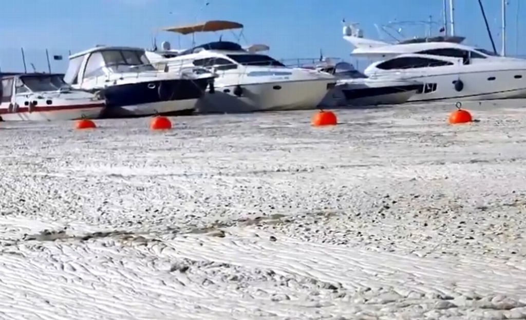 Imagen ‘Moco marino’ causa estragos y se extiende por costa de Turquía (+Video)