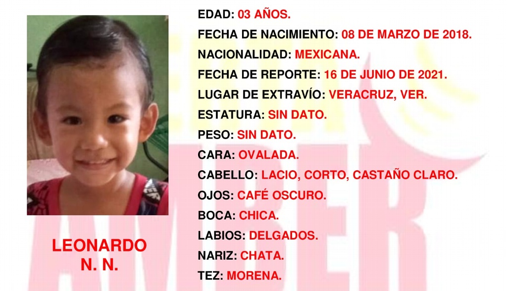 Imagen Emiten Alerta Amber por desaparición de niño de 3 años en Veracruz 