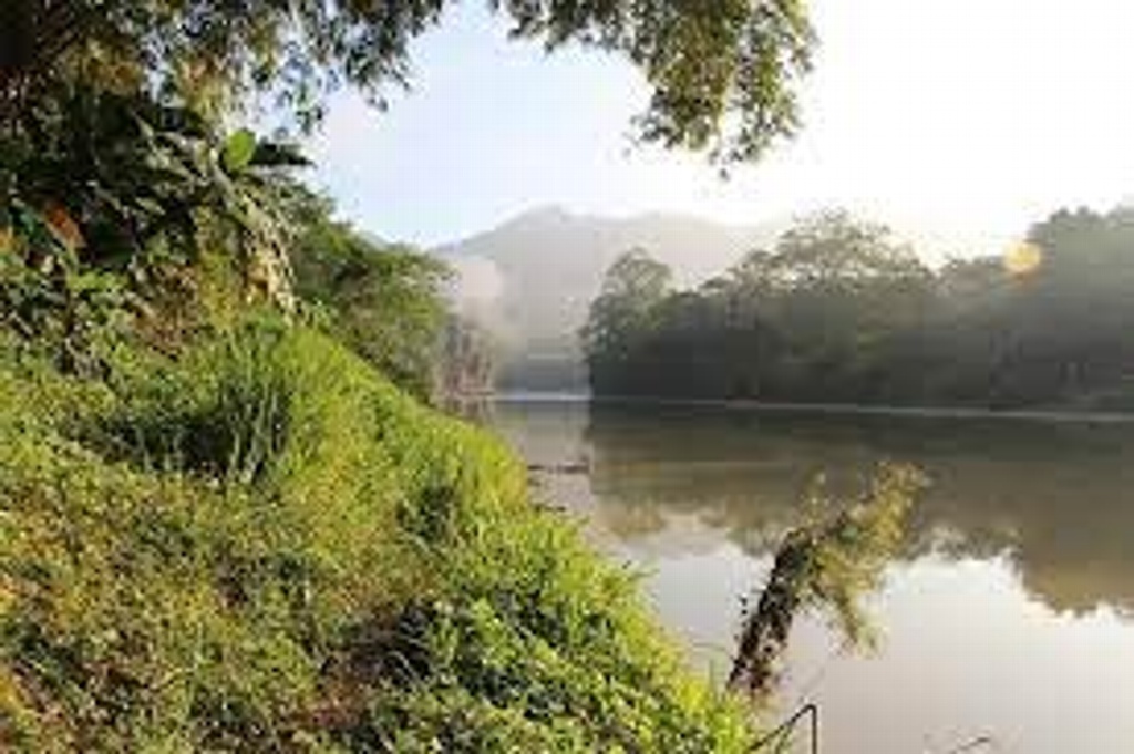 Imagen Reportan aumento en nivel de ríos en la zona sur de Veracruz 