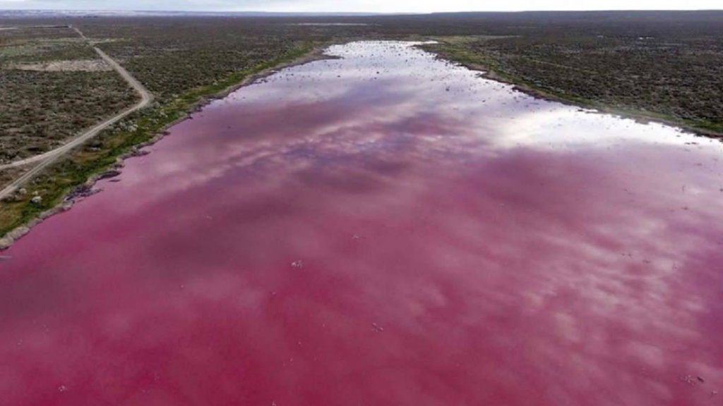 Imagen Esta laguna se volvió color rosa por la contaminación