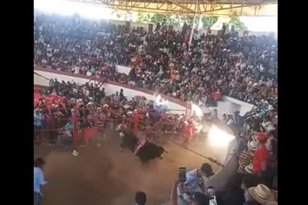 Imagen Jaripeo se sale control y toro embiste a parte del público; hay varios lesionados (+Video)
