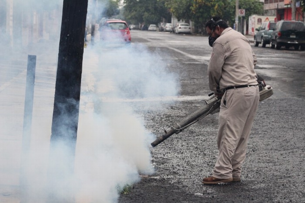 Imagen Veracruz, segundo lugar nacional en casos de dengue, reportan