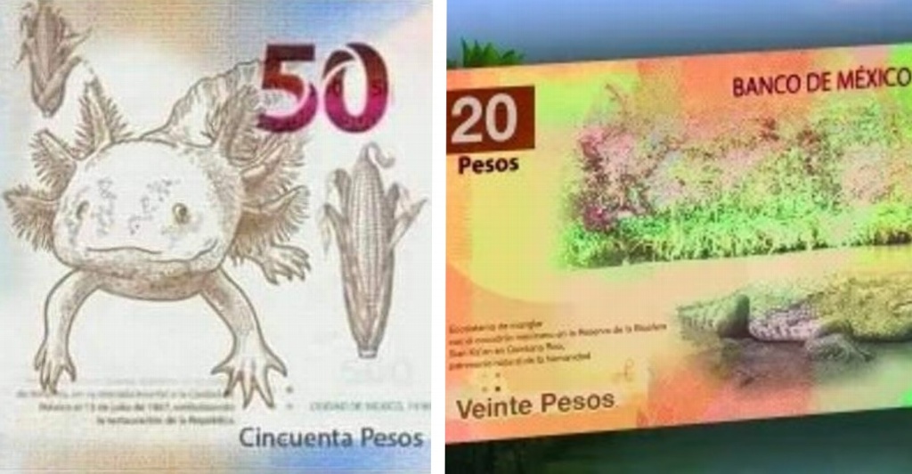 Imagen Filtran diseños de nuevos billetes de 20 y 50 pesos en México 