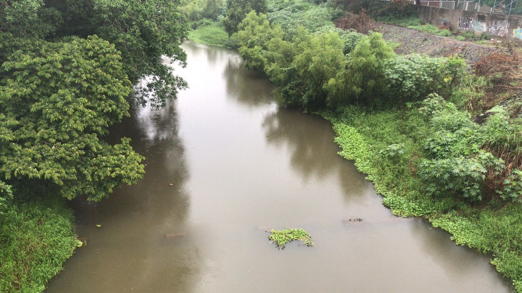 Imagen En ascenso, río Tesechoacán, a la altura de Playa Vicente, Veracruz: Conagua