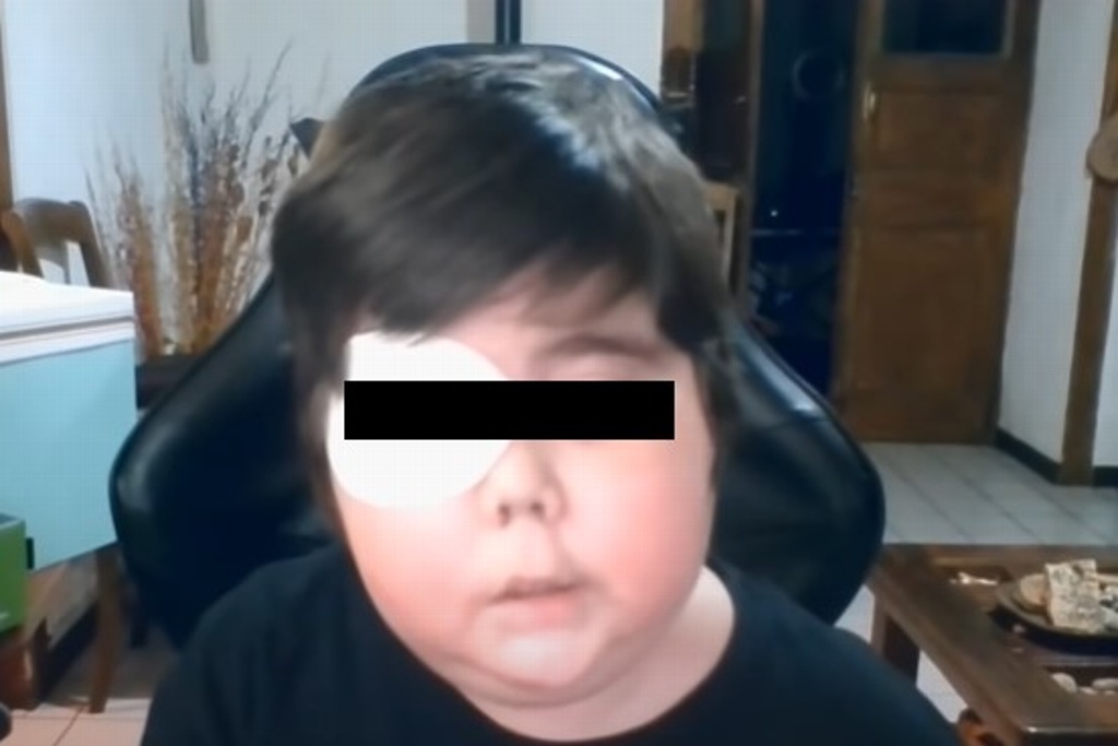 Imagen Muere Tomiii, el niño chileno que cumplió su sueño de ser Youtuber