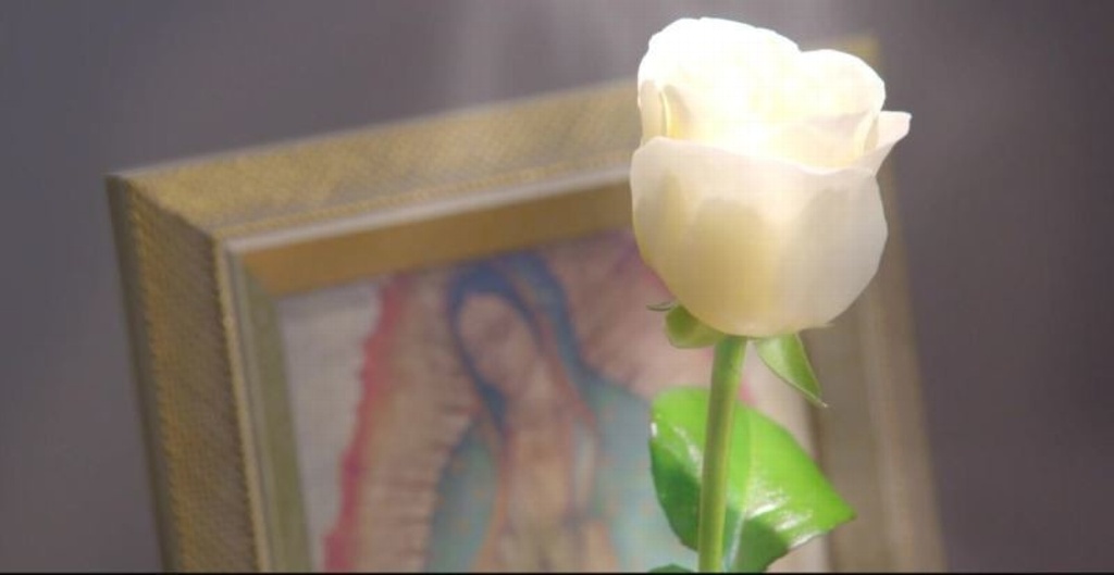 Imagen Muere actor de 'La Rosa de Guadalupe' y 'Como dice el dicho'