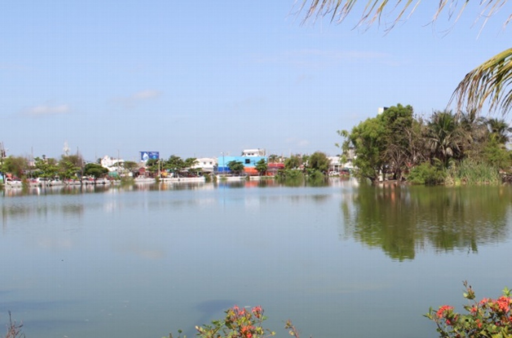 Imagen No van a reubicar a cocodrilo de laguna Malibrán; piden no molestarlo