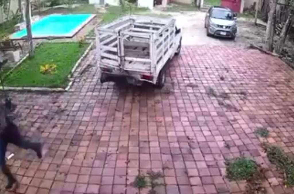 Imagen Ladrones estrellan camioneta contra casa para entrar a robar (+Video)