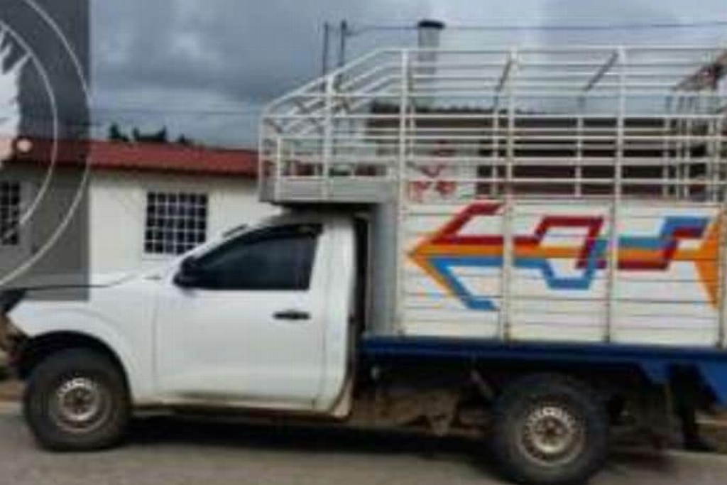 Imagen Recuperan 34 vehículos en la zona sur de Veracruz (+Fotos)