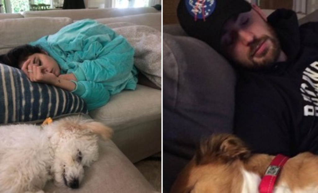 Imagen ¿Selena Gómez y Chris Evans son novios?