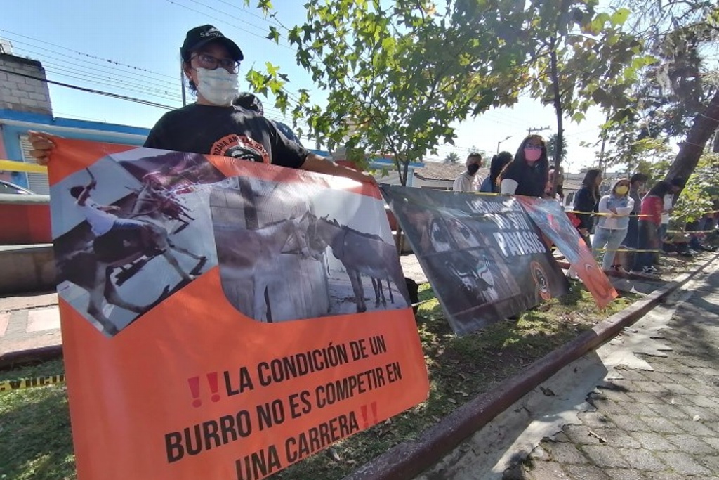 Imagen Animalistas protestan contra carrera de burros en Orizaba, Veracruz