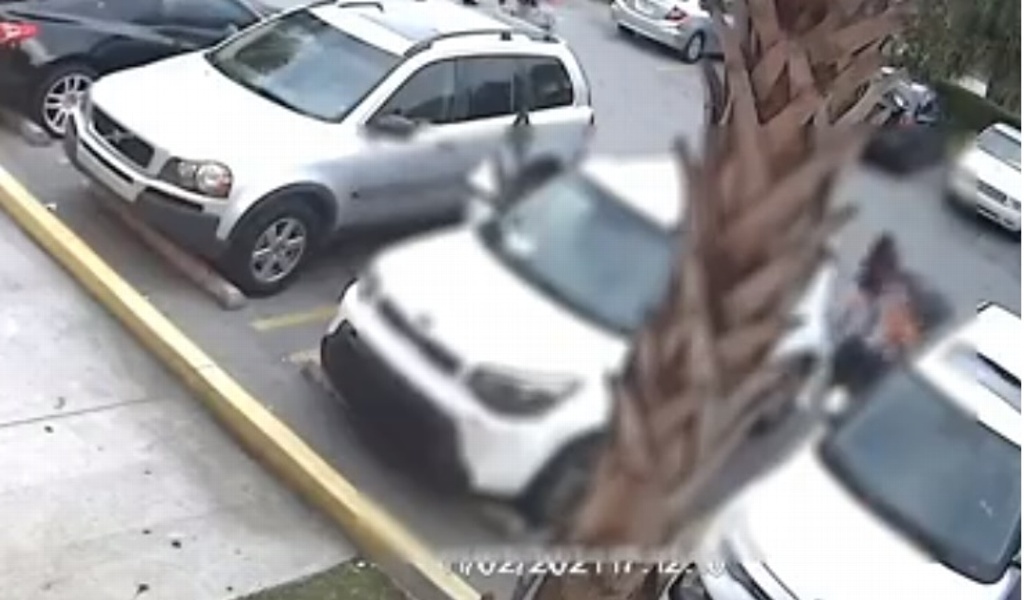 Imagen Niña de 9 años defiende a su mamá durante violento asalto (+video) 