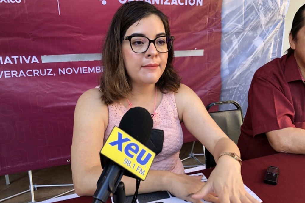 Imagen Morena dice que no hay división ni corrientes al interior del partido en Veracruz