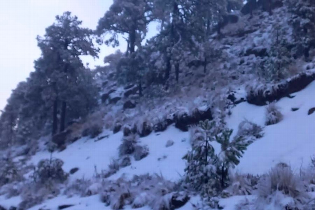 Imagen Más de 4 mil han visitado Cofre de Perote; algunos han presentado mal de montaña 