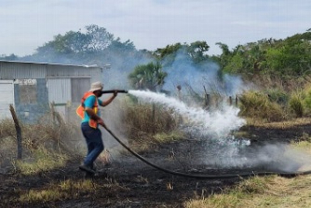 Imagen Sofocan incendio de pastizal en Medellín, Veracruz