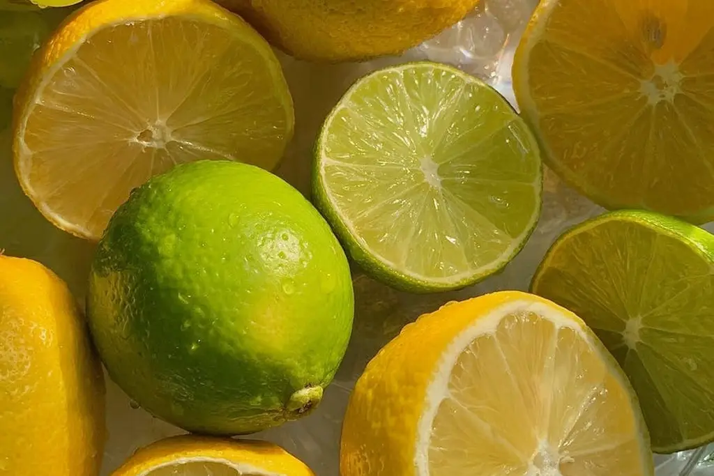 Imagen ¿Cómo conservar por más tiempo los limones?