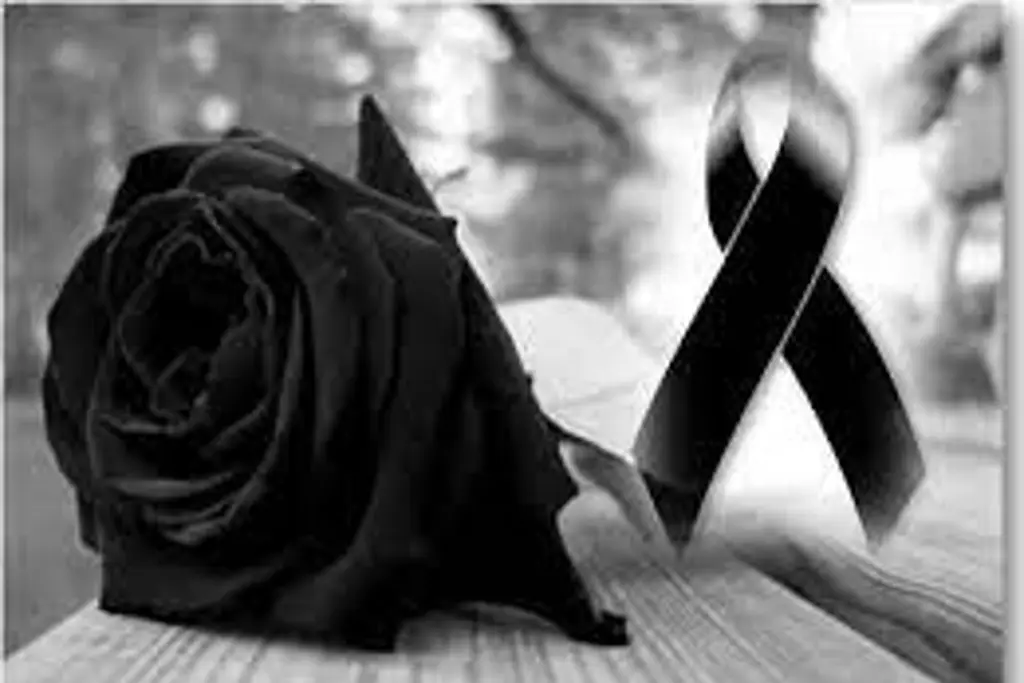 Imagen Muere hijo del actor mexicano Mario Zaragoza; tenía 14 años 
