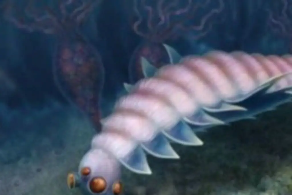 Imagen Hallan extraño animal con 5 ojos