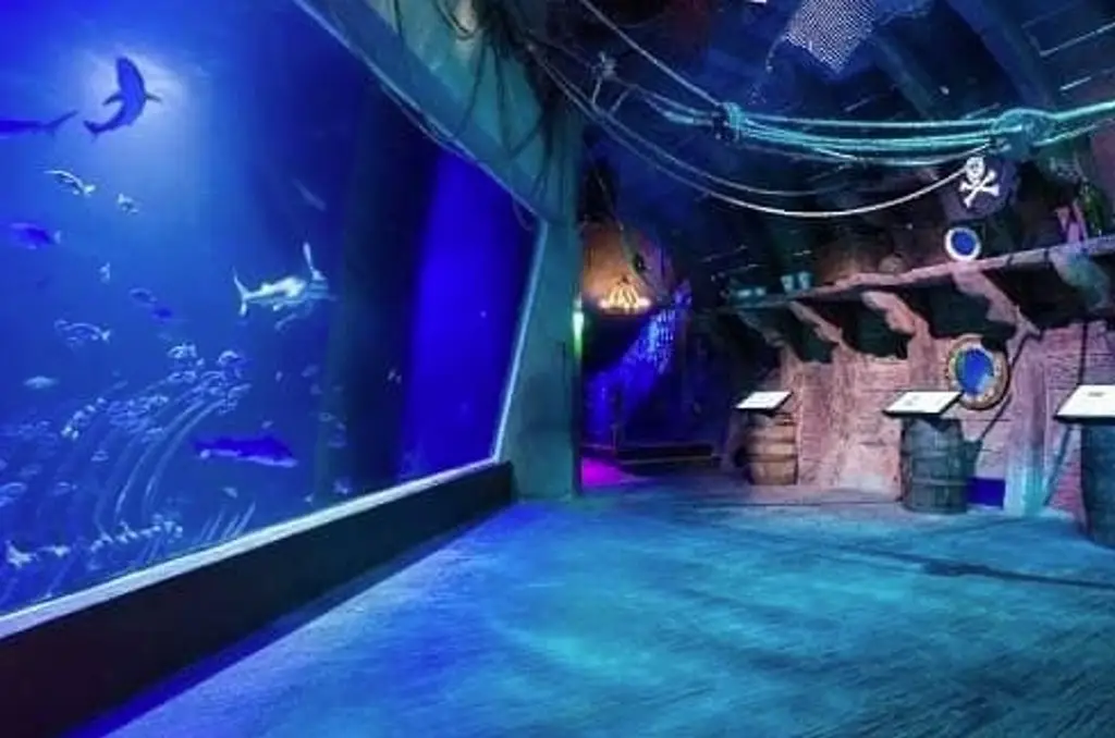 Imagen Muere bióloga en el Acuario Inbursa