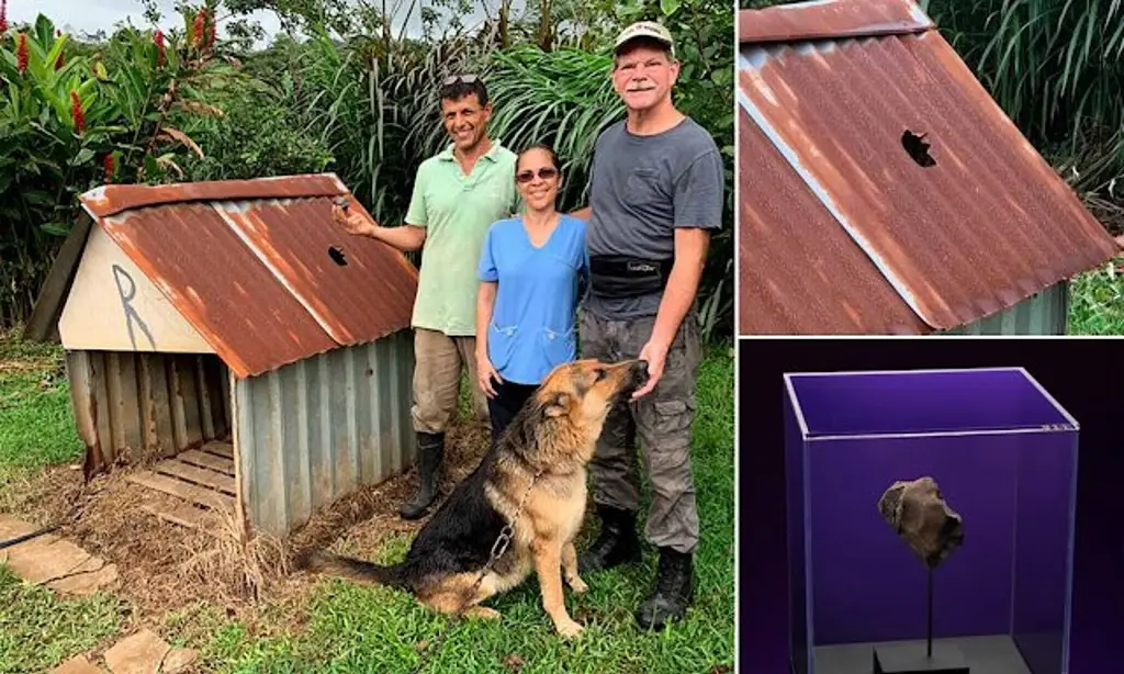 Imagen Meteorito casi le cae a un perro; ahora venden su casa hasta en 300 mil dólares