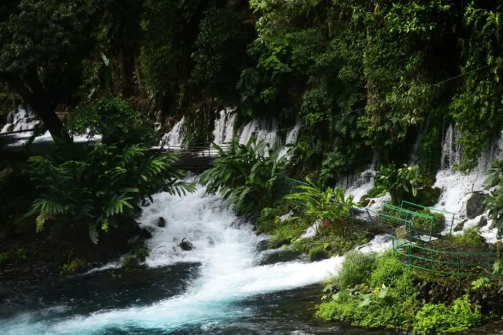 Imagen Nace el río, un oasis en Veracruz; ¿Sabes cómo llegar y qué hacer ahí?