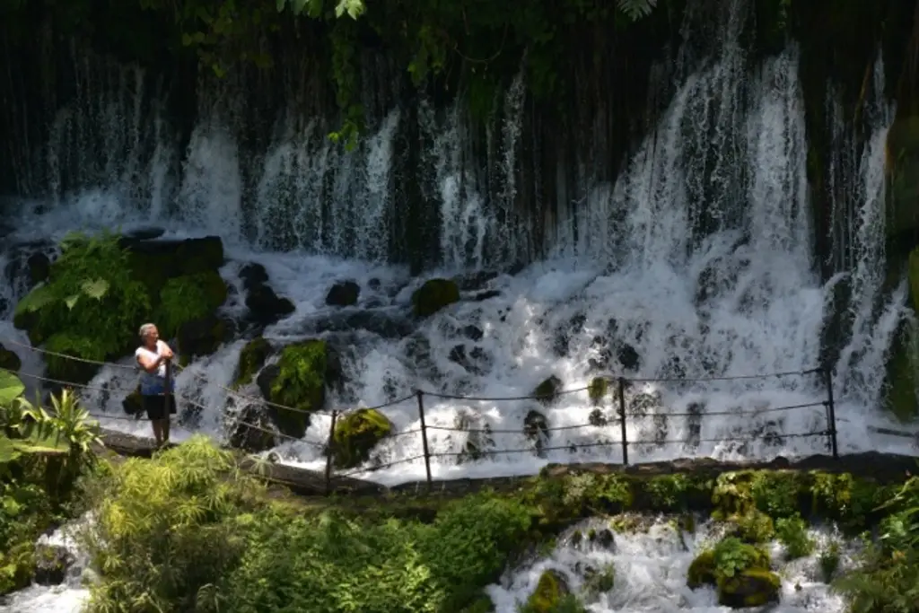 Imagen Nace el río, un oasis en Veracruz; un destino que puedes visitar en Semana Santa (Fotos)