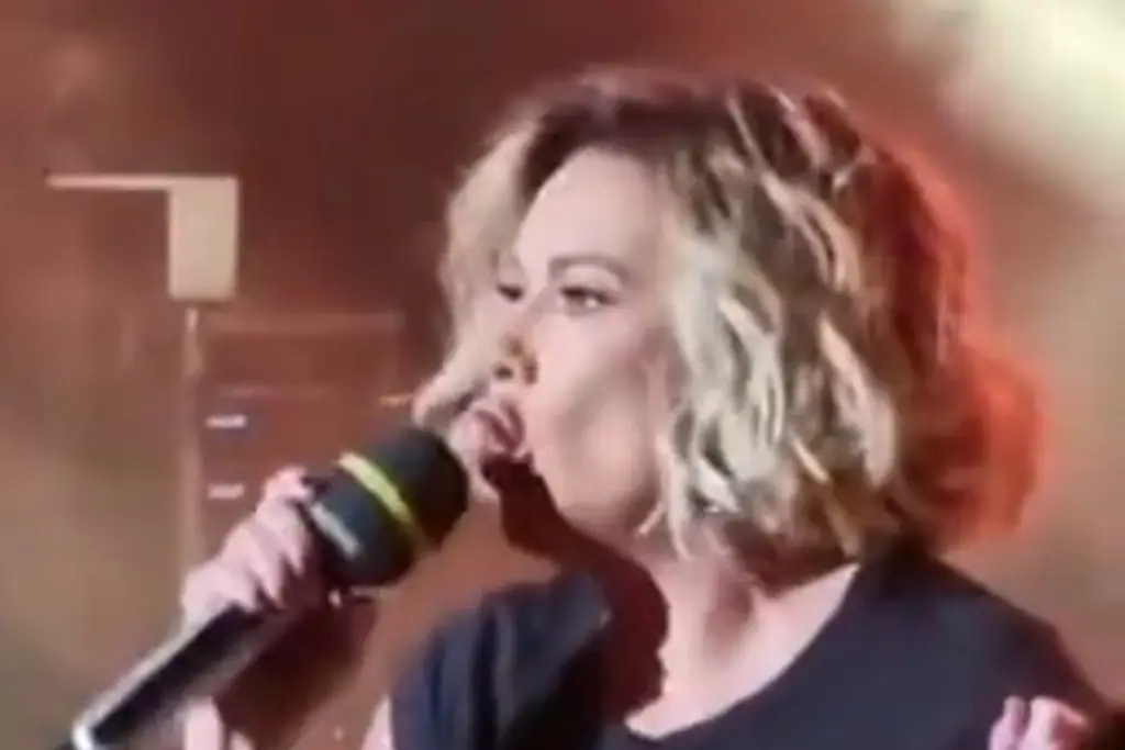 Imagen Ilse, integrante de Flans, sufre fuerte caída durante concierto (+Video) 
