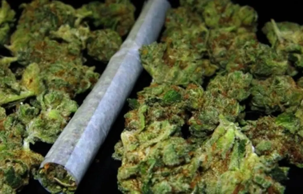 Imagen ¿Cuáles son los beneficios medicinales de la marihuana?