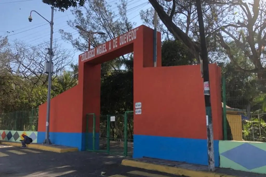 Imagen Zoológico de Veracruz sigue cerrado y en estas condiciones (+Video)