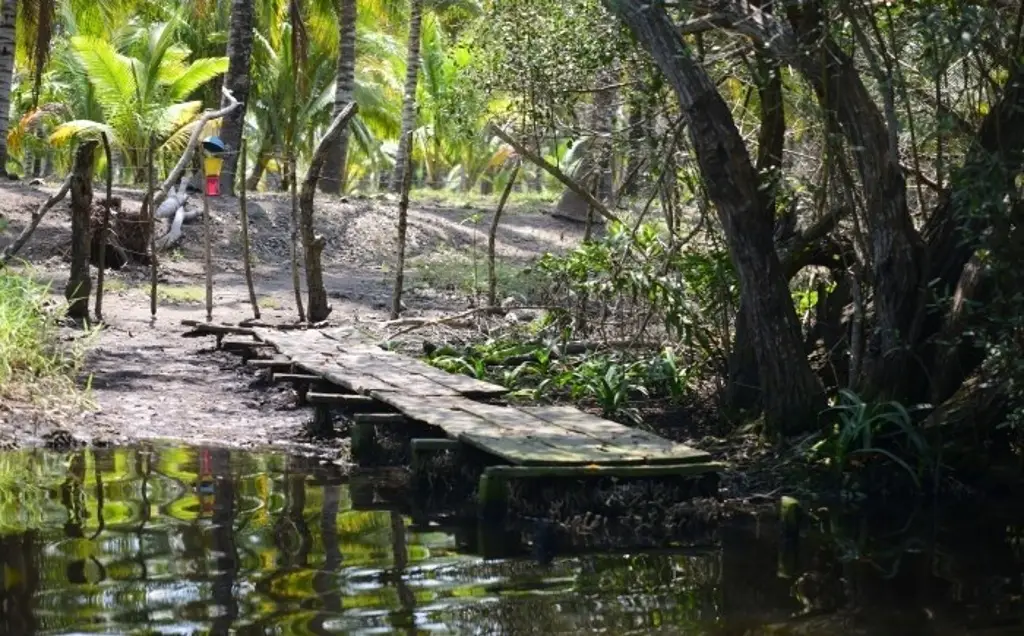 Laguna Cabana, un paraíso que está en peligro en Veracruz - xeu noticias  veracruz
