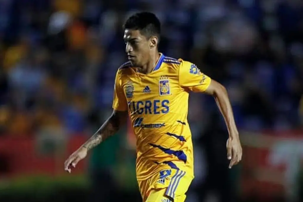 Imagen Tigres separa a Raymundo Fulgencio por presunta riña en Veracruz